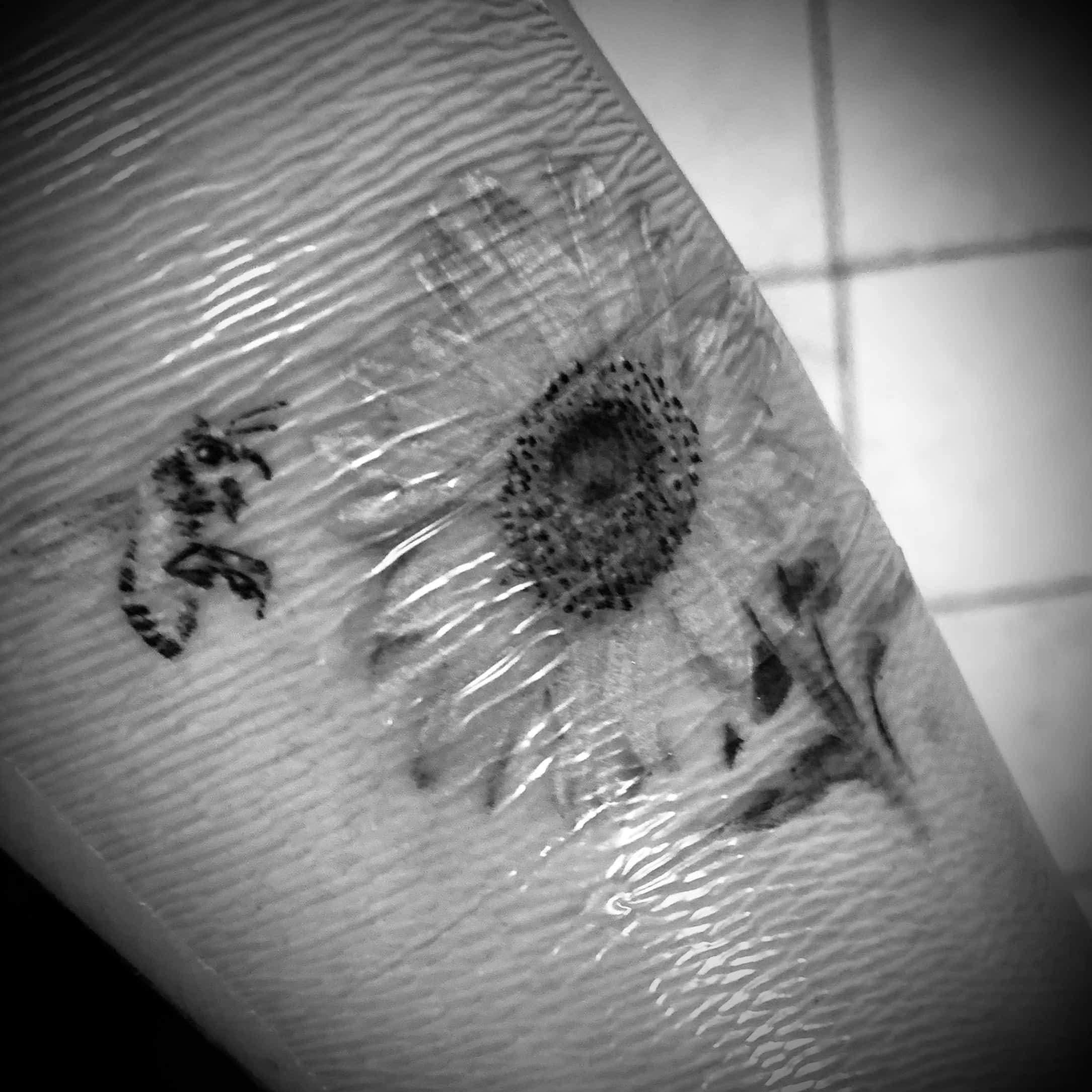 Second skin after getting your new tattoo; an all-rounder.